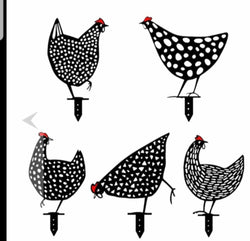 5 Garden Decorative Chickens