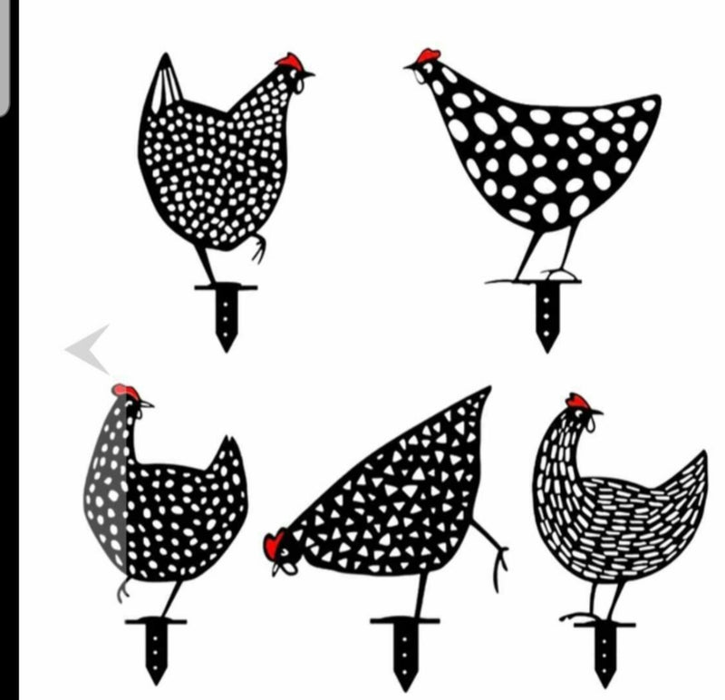 5 Garden Decorative Chickens