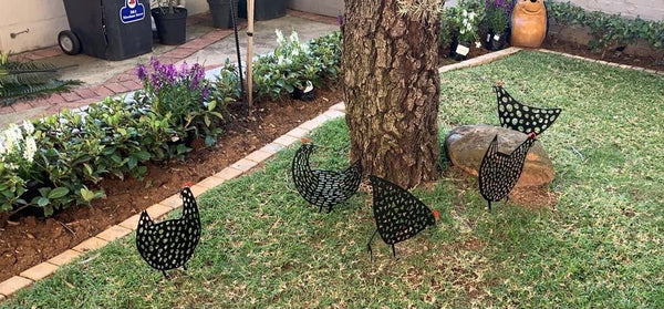 5 Garden Decorative Chickens